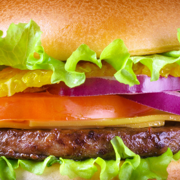 Kid’s Cheeseburger